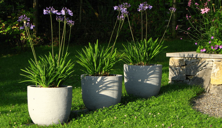 Gartendesign Somandin sorgt für Ihr Gartenglück – von der Planung bis